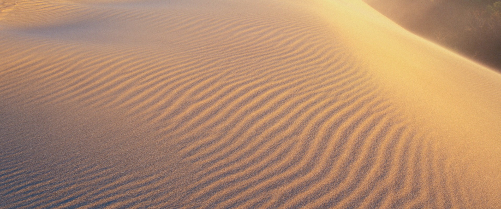 where-is-indiana-dunes-state-park-located